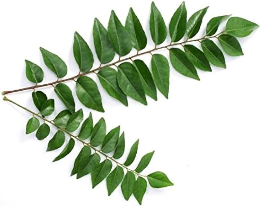 Curry Leaves